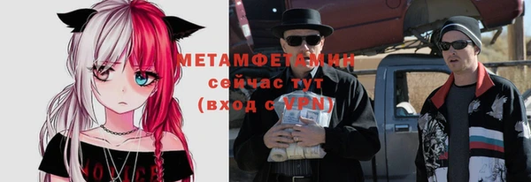 индика Нягань