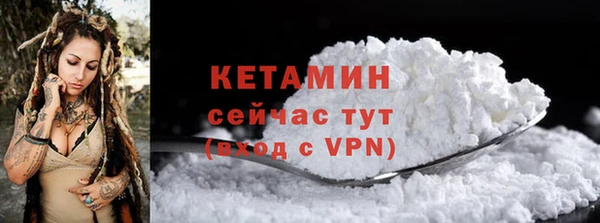 сатива Новодвинск