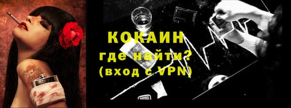 сатива Новодвинск