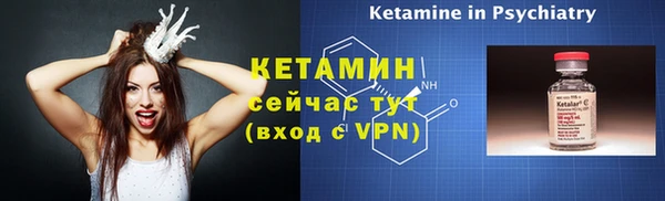 сатива Новодвинск