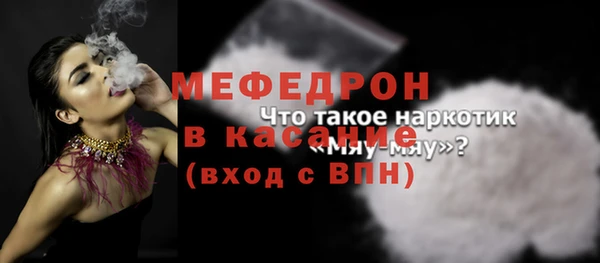 гашик Няндома