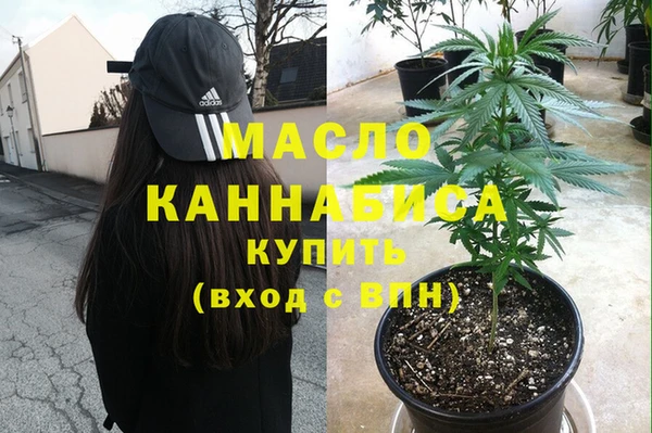 гашик Няндома