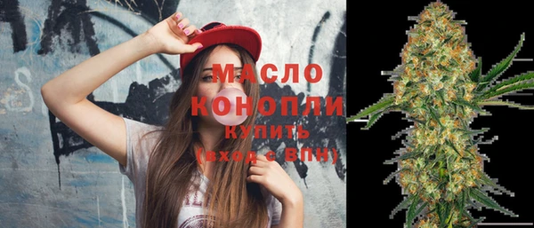 гашик Няндома
