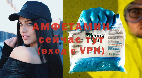 гашик Няндома