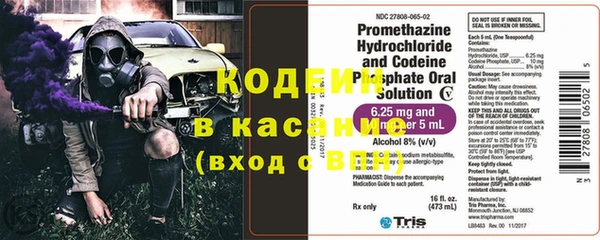 сатива Новодвинск