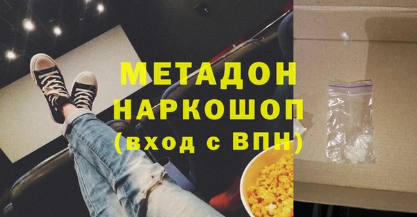 сатива Новодвинск