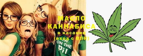 индика Нягань