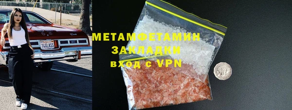 индика Нягань