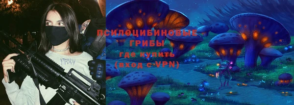 сатива Новодвинск