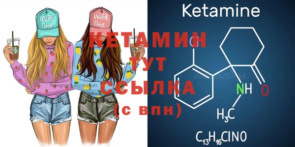 гашик Няндома