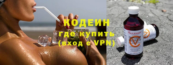 сатива Новодвинск