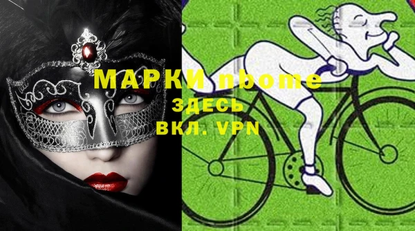 индика Нягань