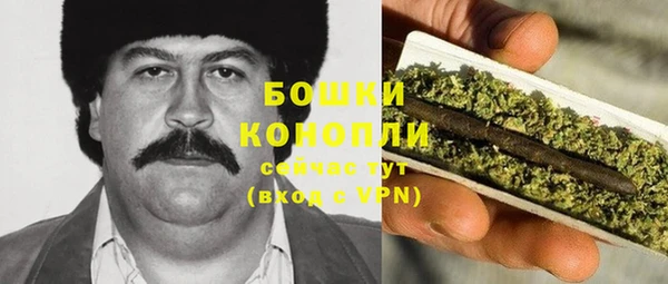 гашик Няндома