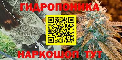 наркотики Бийск