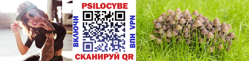 Галлюциногенные грибы мухоморы  мега маркетплейс  Усть-Лабинск  даркнет сайт 