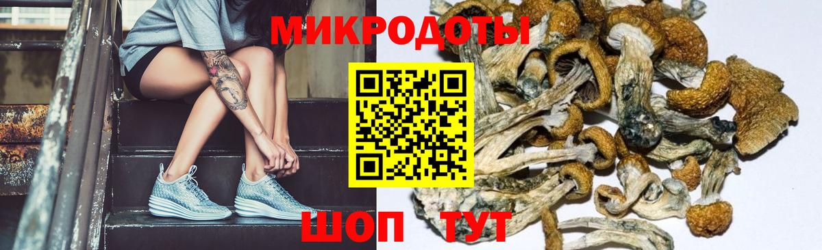 Псилоцибиновые грибы Psilocybe  Усть-Лабинск  Галлюциногенные грибы ЛСД 